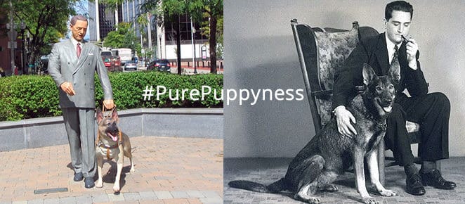 Buddy - Americas First Guide Dog Statue and Picture